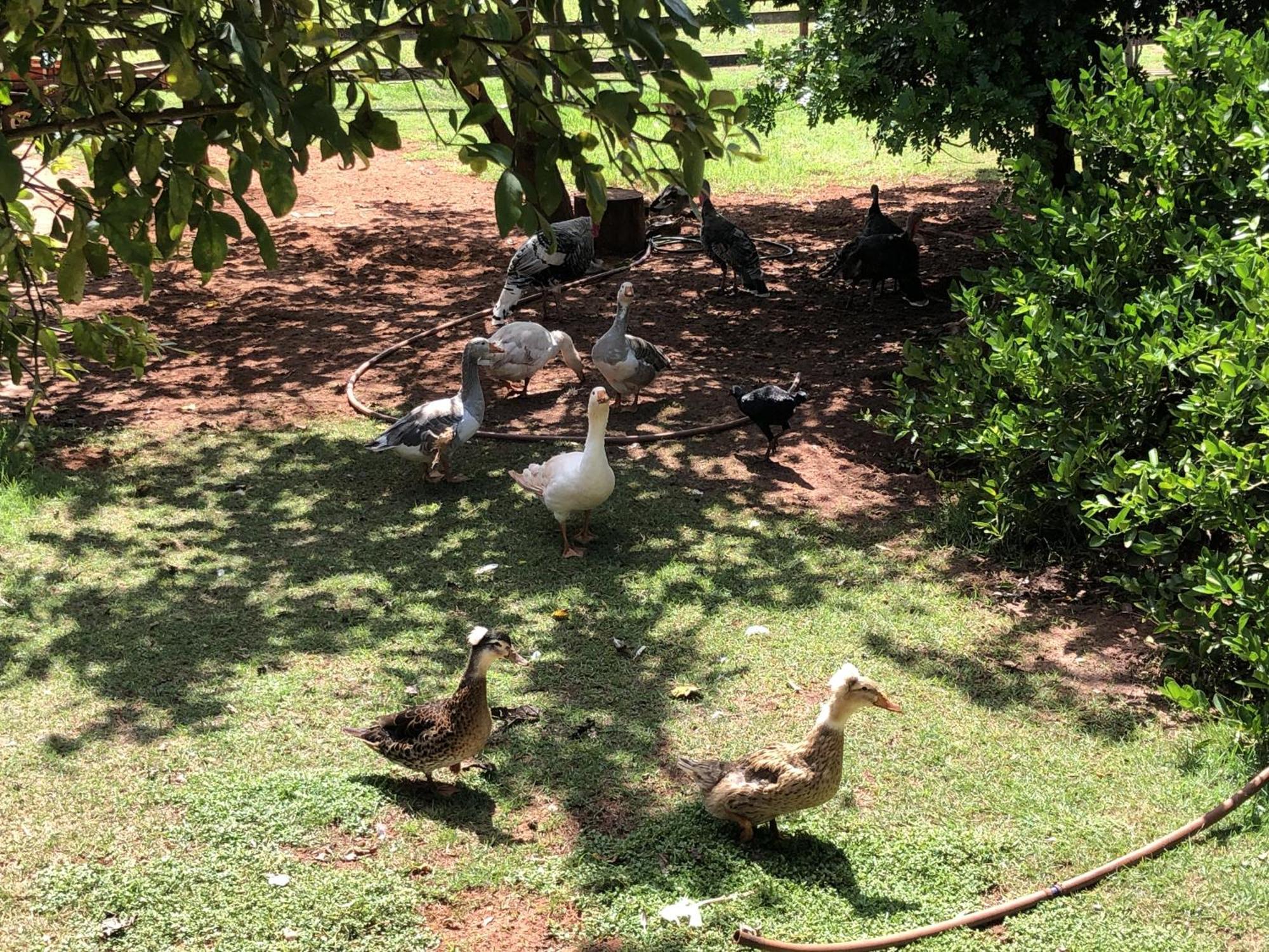 Vila Glória Hotel Fazenda Recanto Do Sossego מראה חיצוני תמונה